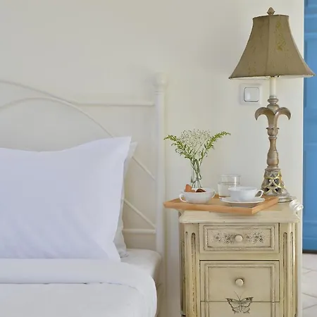 Πανσιόν Andros Homes Sea Side & Γαύριο